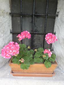 A garden outside Piccola Perla A Livo