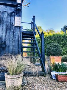 a wooden staircase with some plants in pots at The Apple Loft in Westleton