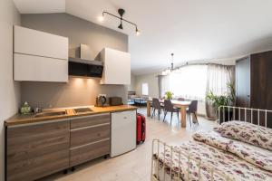 a kitchen and living room with a bed in a room at Lake & City Apartments in Giżycko