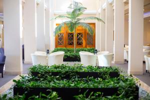 a palm tree in the middle of a room with plants at Hipotels Playa La Barrosa - Adults Only in Chiclana de la Frontera