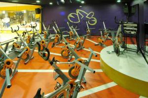 Fitness centrum a/nebo fitness zařízení v ubytování Evenia Olympic Suites