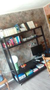 The library in Az apartmant