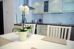 Φωτογραφία από το άλμπουμ του Apartament Chełm σε Χελμ