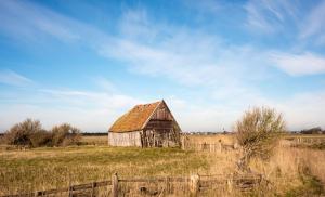 an old barn in a field with a fence at Hotel-Restaurant Loodsmans Welvaren in Den Hoorn