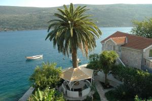 a palm tree on top of a house next to the water at Apartments Roza in Herceg-Novi