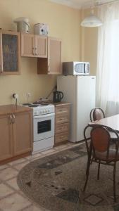ノヴォシビルスクにあるApartamenty naDusi Kovalchuk 252のキッチン(白いコンロ、冷蔵庫付)