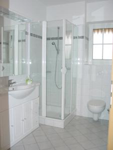 a bathroom with a shower and a sink and a toilet at Ferienhof Meyer Landhotel in Petershagen