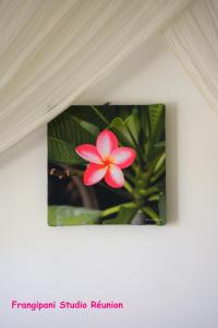 a picture of a pink flower on a wall at Frangipani Studio Réunion in La Saline les Bains