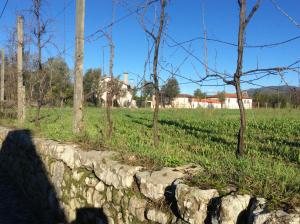 Fotografie z fotogalerie ubytování Quinta de Areias v destinaci Crespos