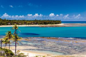 uma vista para uma praia com palmeiras e para o oceano em Pousada Brisas do Espelho em Praia do Espelho