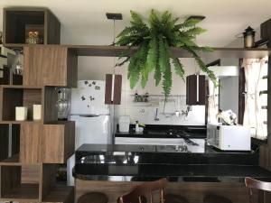 uma cozinha com uma grande planta pendurada no tecto em Chalé no Condomínio Serra Nevada I em Bananeiras