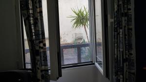 Fotografia z galérie ubytovania Apollon Apartments H-2 v destinácii Rodos (mesto)