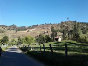 a road with a house on the side of a hill at Casa En El Arbol in Pesca