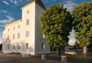 Un edificio blanco con un árbol delante. en Domaine de Sainte-Croix, en Sainte-Croix