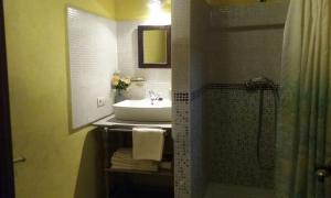 a bathroom with a sink and a shower at La Dueña I in Miranda del Castañar