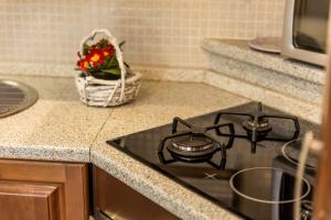 Kuchyň nebo kuchyňský kout v ubytování Apartment Noa Opatija