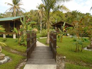 a wooden walkway leading to a resort with palm trees at J and H Garden Cabinas in Bocas del Toro
