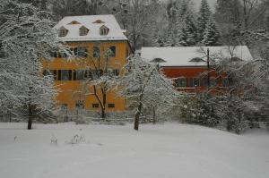 a house covered in snow in a yard with trees at Dichterhaus Dresden in Dresden
