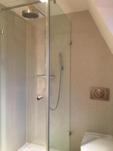 a shower with a glass door in a bathroom at Dichterhaus Dresden in Dresden