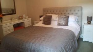 Gallery image of The Draen Bed and Breakfast in Brecon