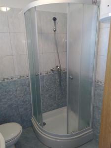 a shower with a glass door next to a toilet at Apartments Vido in Vodice +20 photos