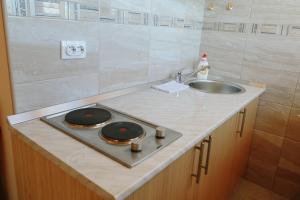 a bathroom with a sink and a counter top at Sun City Apartments in Trebinje