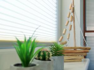 Fotografie z fotogalerie ubytování Apartament Białe Piaski v destinaci Dębki