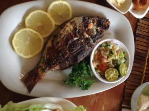 a plate of food with a piece of fish and a salad at Sf Cantina in Bantayan Island