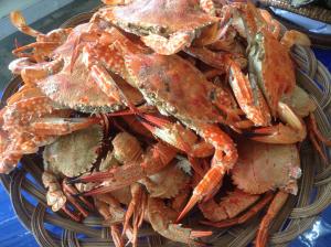a pile of crabs in a basket on a table at Sf Cantina in Bantayan Island