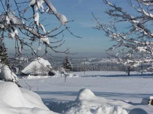 Höhenpension Glashütte Bed&Breakfast Frühstückspension Hotel GARNI v zimě