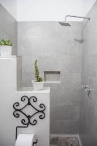 a bathroom with a shower and a toilet and a sink at Hotel Saval Jerico in Jericó
