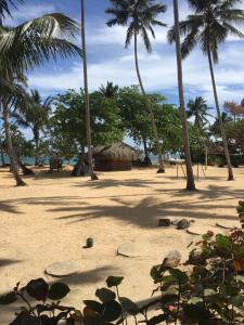 a sandy beach with palm trees and a hut at Your Second Home Away in Las Terrenas