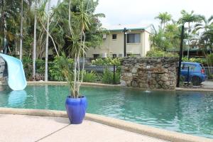 eine blaue Vase mit einer Pflanze neben einem Pool in der Unterkunft Bohemia Resort Cairns in Cairns
