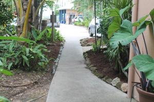 Ein Garten an der Unterkunft Bohemia Resort Cairns