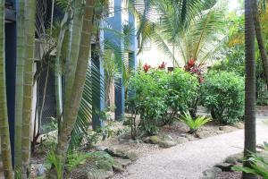 a garden with palm trees and plants next to a building at Bohemia Resort Cairns in Cairns