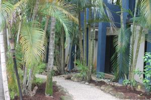Ein Garten an der Unterkunft Bohemia Resort Cairns