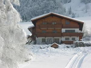 Haus Seeblick am See during the winter