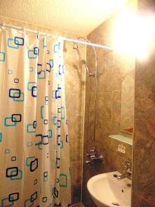 bagno con tenda per la doccia e lavandino di Business Park Apartment a Sofia