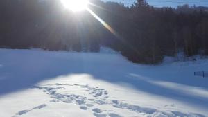 Fasserhof during the winter