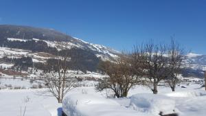 Fasserhof during the winter