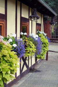 a bunch of flowers on the side of a building at Gościniec Marzymięta in Czmoń