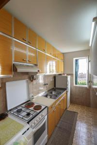 Kuchyň nebo kuchyňský kout v ubytování Apartman Željka