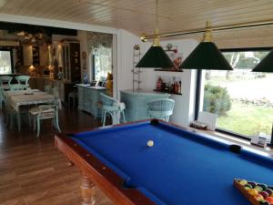 a pool table in a living room with a pool at Willa SASINO in Sasino