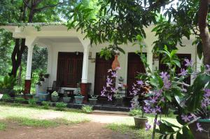 Κήπος έξω από το sigiriya flower guest