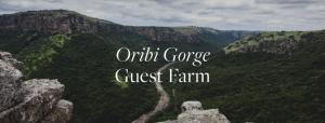 Afbeelding uit fotogalerij van Oribi Gorge Guest Farm in Glendale