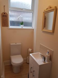 a bathroom with a toilet and a sink and a window at Tunstall Serviced Home in Sunderland
