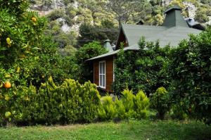 una pequeña casa rodeada de naranjos y arbustos en Arcadia Villas en Cıralı
