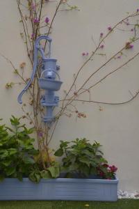 a blue bird feeder attached to a wall with plants at A mi Manera in Sassari