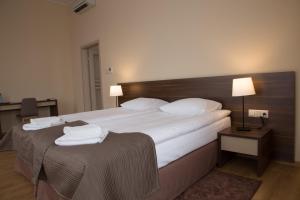 ジャリにあるGlas-Hotel 4*の大きなベッド(白い枕付)が備わる客室です。