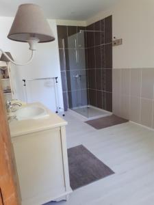 a bathroom with a sink and a shower at Au Cœur de Mauchat in Saint-Martin-de-Fressengeas